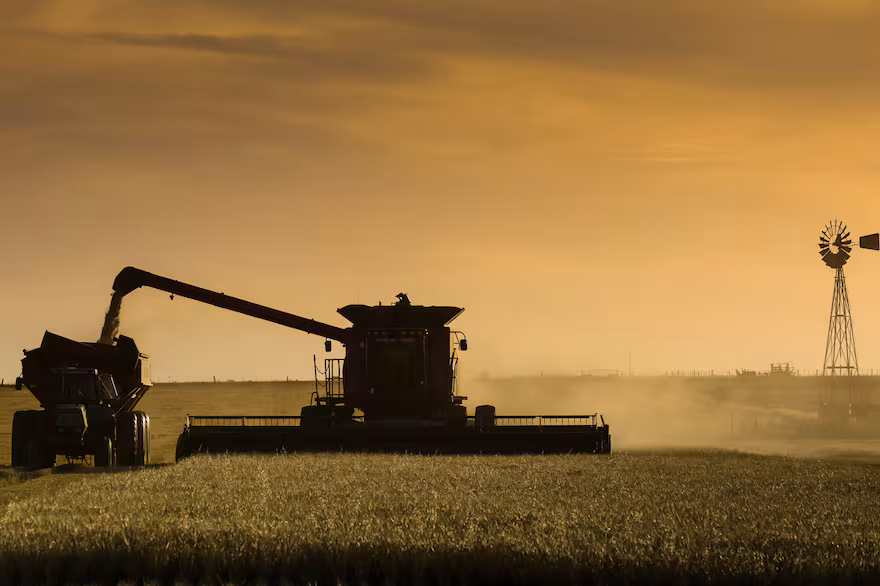 TRIGO EN ARGENTINA: PERSPECTIVA Y ¿NUEVO ESCENARIO?