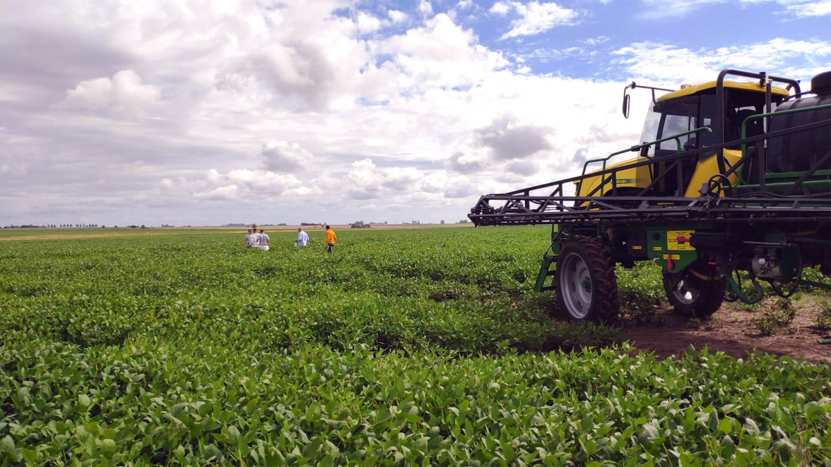 EL MERCADO SE REACOMODA TRAS VARIAS SEMANAS SIN RETENCIONES Y NOVEDADES DEL USDA, ¿CUÁLES SON LAS NUEVAS OPORTUNIDADES?