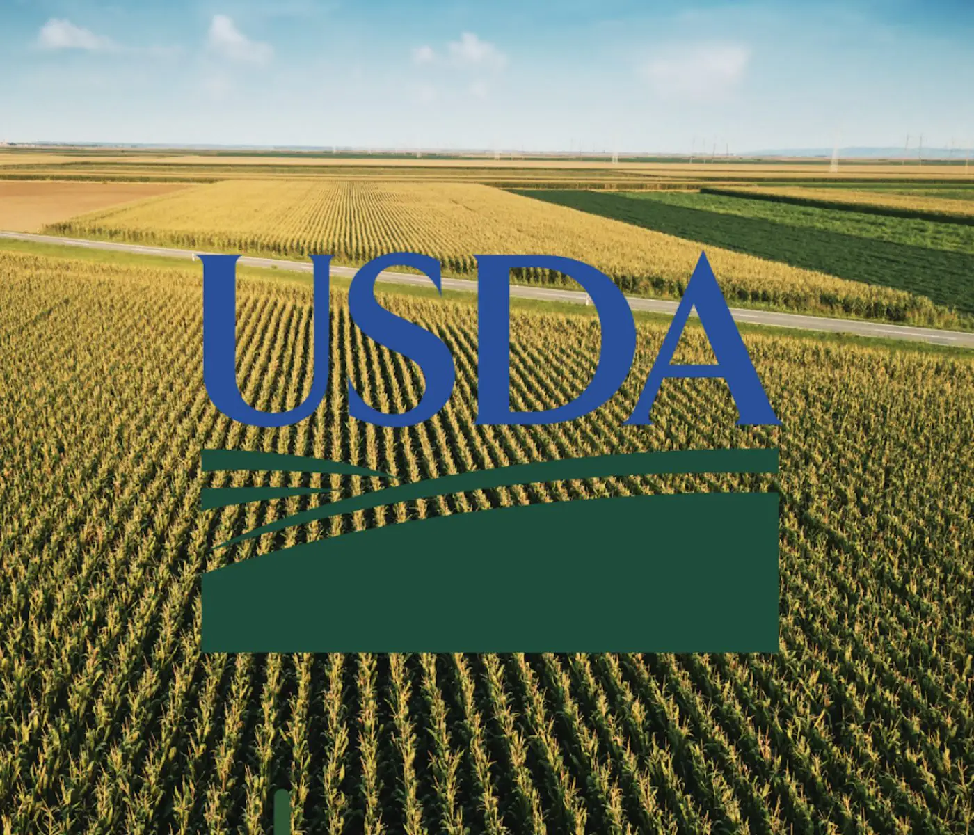 LO QUE EL INFORME DEL USDA NOS DEJÓ