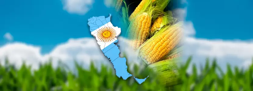 PANORAMA Y CONDICIONES PARA LA SIEMBRA DE MAÍZ. PERSPECTIVAS PARA APROVECHAR NEGOCIOS.