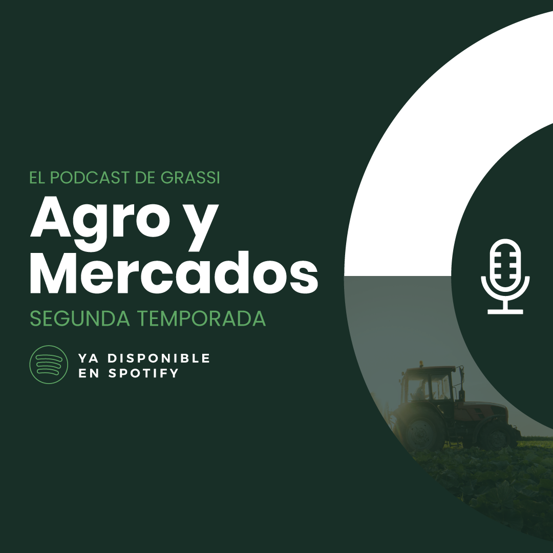 T2 EP 69 ESPECIAL TRIGO