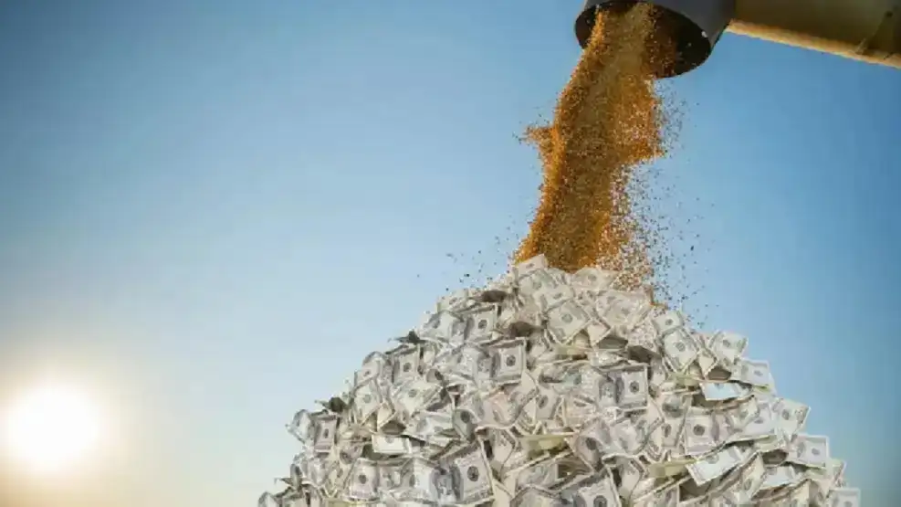 AVALANCHA DE DÓLARES: SEPTIEMBRE CERRARÍA CON UN INGRESO DE DIVISAS DE HASTA US$8000 MILLONES