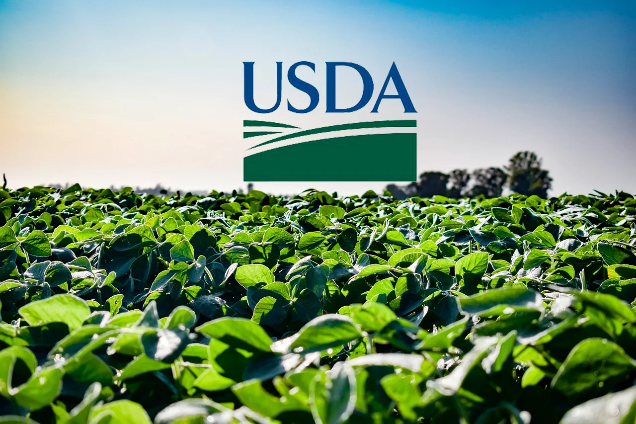 WASDE NOVIEMBRE: REGRESO TARDÍO, EN MEDIO ESPECULACIONES POR EL ACUERDO ENTRE CHINA Y EE.UU.