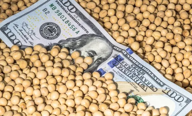 POLÉMICA POR LOS VALORES DE LA SOJA TRAS LA BAJA A CERO DE LAS RETENCIONES: CUÁNTO SE PAGÓ POR EL POROTO DÍA POR DÍA