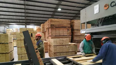 DATO DEL EMAE (Estimador Mensual de Actividad Económica)