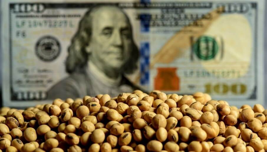 SUBIÓ MÁS DE US$12 TRAS UN TRASPIÉ, LA SOJA REPUNTÓ EN EL MERCADO INTERNACIONAL Y SE MANTIENE EN EL VALOR MÁS ALTO EN 17 MESES
