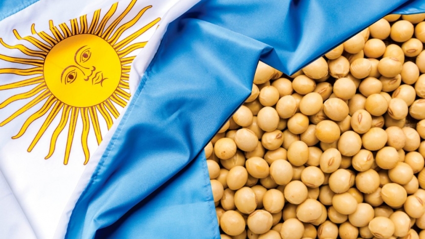 SOJA: El impacto de los anuncios impositivos y el avance de la cosecha 2025/2026