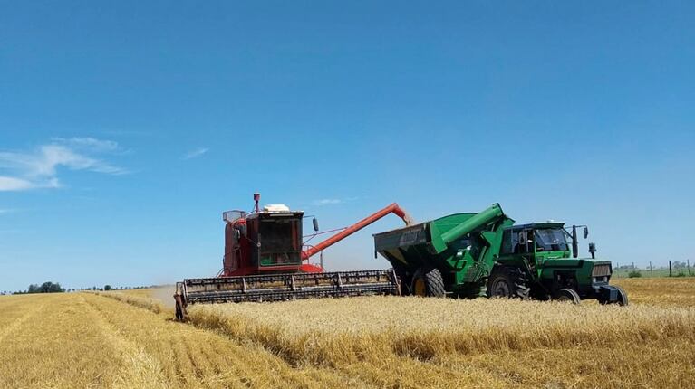 LA SIEMBRA ENTRA EN LA RECTA FINAL CON 100.000 HA FUERA DE FECHA ÓPTIMA