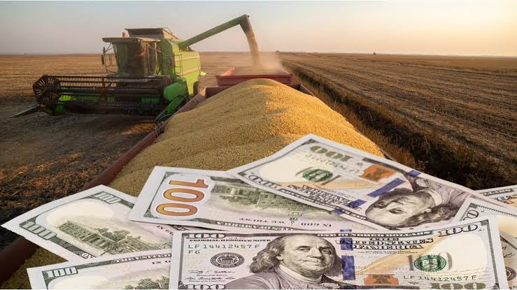 ¿CÓMO VIENE LA LIQUIDACIÓN DEL AGRO?